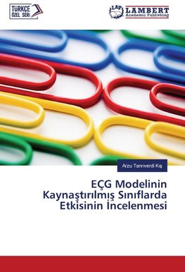 EÇG Modelinin Kaynastirilmis Siniflarda Etkisinin Incelenmesi