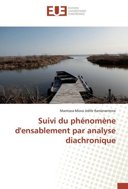 Suivi du phénomène d'ensablement par analyse diachronique