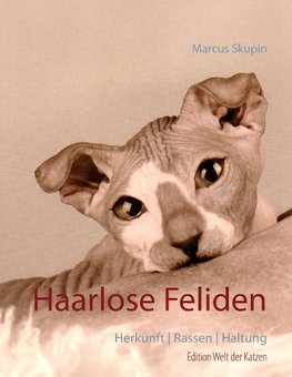 Haarlose Feliden