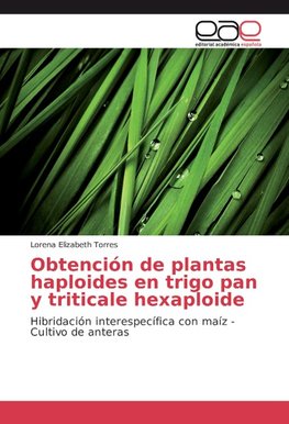 Obtención de plantas haploides en trigo pan y triticale hexaploide