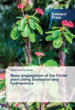 Mass propagation of the Christ plant using bioreactor and hydroponics