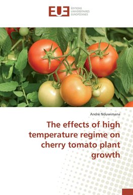 The effects of high temperature regime on cherry tomato plant growth