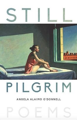 Still Pilgrim