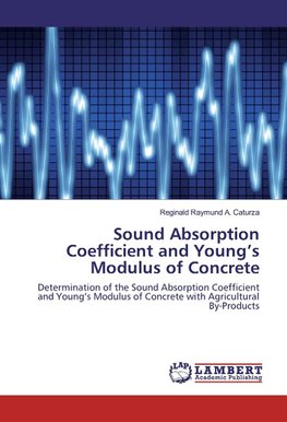 Sound Absorption Coefficient and Young's Modulus of Concrete