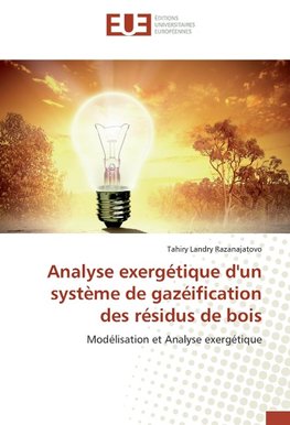 Analyse exergétique d'un système de gazéification des résidus de bois