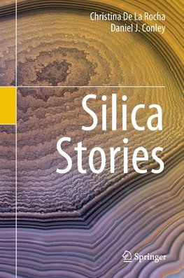 Silica Stories