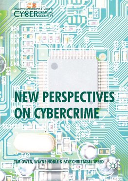 New Perspectives on Cybercrime