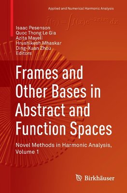 Frames and Other Bases in Abstract and Function Spaces