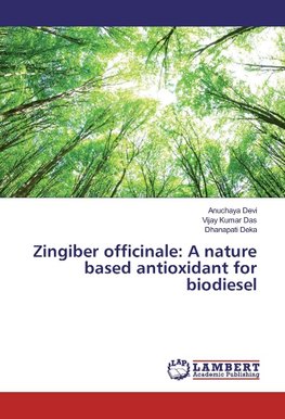 Zingiber officinale: A nature based antioxidant for biodiesel