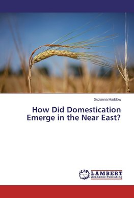 How Did Domestication Emerge in the Near East?