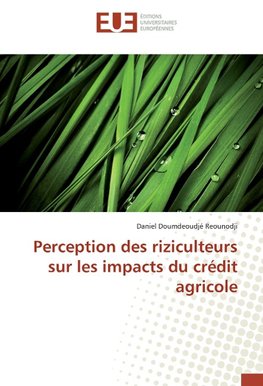 Perception des riziculteurs sur les impacts du crédit agricole