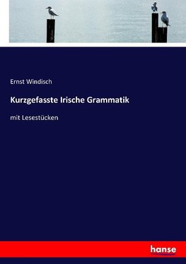 Kurzgefasste Irische Grammatik