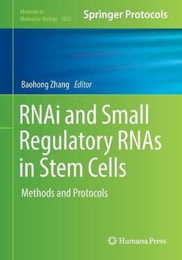 RNAi and Small Regulatory RNAs in Stem Cells