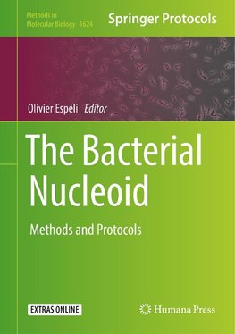 The Bacterial Nucleoid