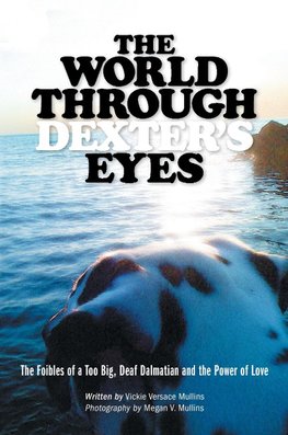 WORLD THROUGH DEXTERS EYES