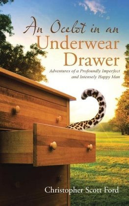 An Ocelot in an Underwear Drawer