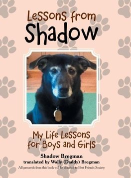 Lessons from Shadow