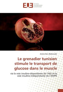 Le grenadier tunisien stimule le transport de glucose dans le muscle