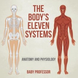 The Body's Eleven Systems | Anatomy and Physiology