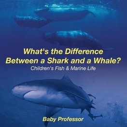 What's the Difference Between a Shark and a Whale? | Children's Fish & Marine Life