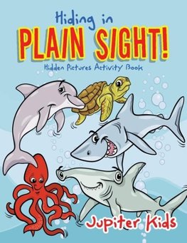 Hiding in Plain Sight! Hidden Pictures Activity Book