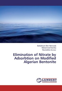 Elimination of Nitrate by Adsorbtion on Modified Algerian Bentonite