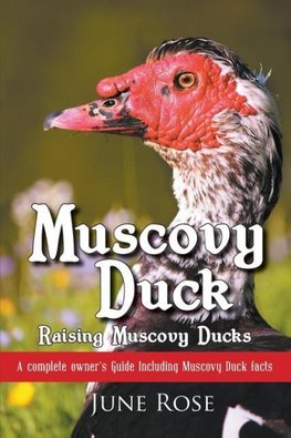 Muscovy Duck