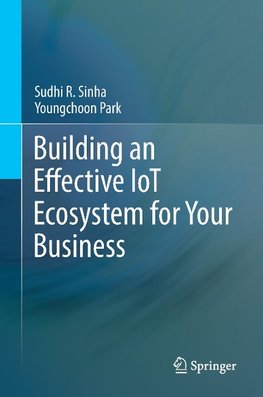 Building an Effective IoT Ecosystem for Your Business