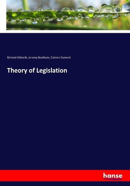 Theory of Legislation