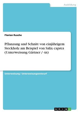 Pflanzung und Schnitt von einjährigem Steckholz am Beispiel von Salix caprea (Unterweisung Gärtner / -in)