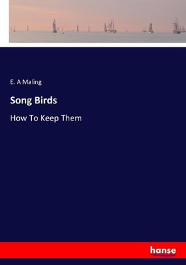 Song Birds