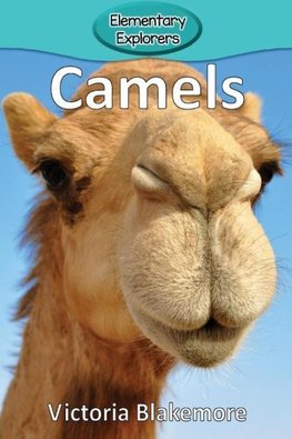 Camels