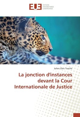 La jonction d'instances devant la Cour Internationale de Justice