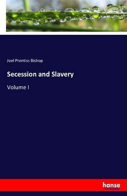 Secession and Slavery