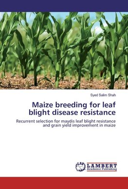 Maize breeding for leaf blight disease resistance