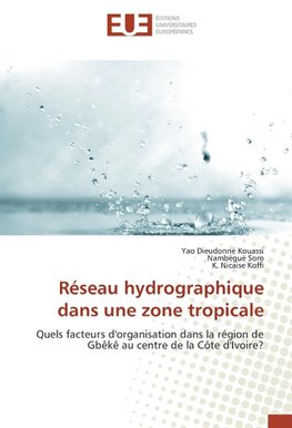 Réseau hydrographique dans une zone tropicale