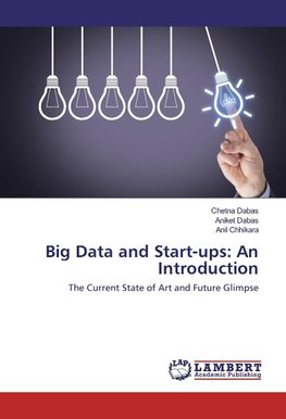 Big Data and Start-ups: An Introduction