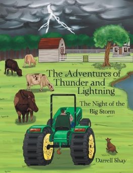 The Adventures of Thunder and Lightning