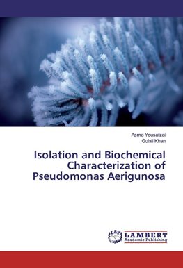 Isolation and Biochemical Characterization of Pseudomonas Aerigunosa