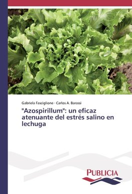 "Azospirillum": un eficaz atenuante del estrés salino en lechuga