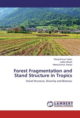 Forest Fragmentation and Stand Structure in Tropics