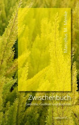 Zwischenbuch