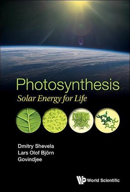 Photosynthesis: Solar Energy for Life