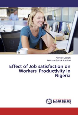 Effect of Job satisfaction on Workers' Productivity in Nigeria