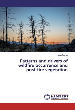 Patterns and drivers of wildfire occurrence and post-fire vegetation