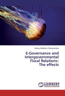 E-Governance and Intergovernmental Fiscal Relations: The effects