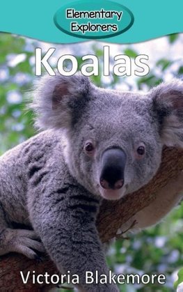 Koalas