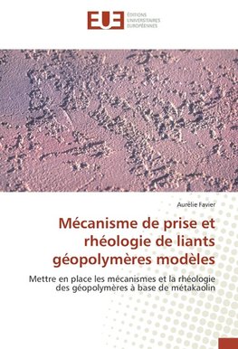 Mécanisme de prise et rhéologie de liants géopolymères modèles