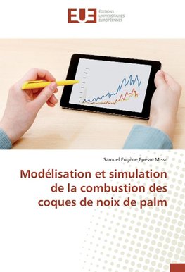 Modélisation et simulation de la combustion des coques de noix de palm