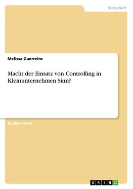 Macht der Einsatz von Controlling in Kleinunternehmen Sinn?